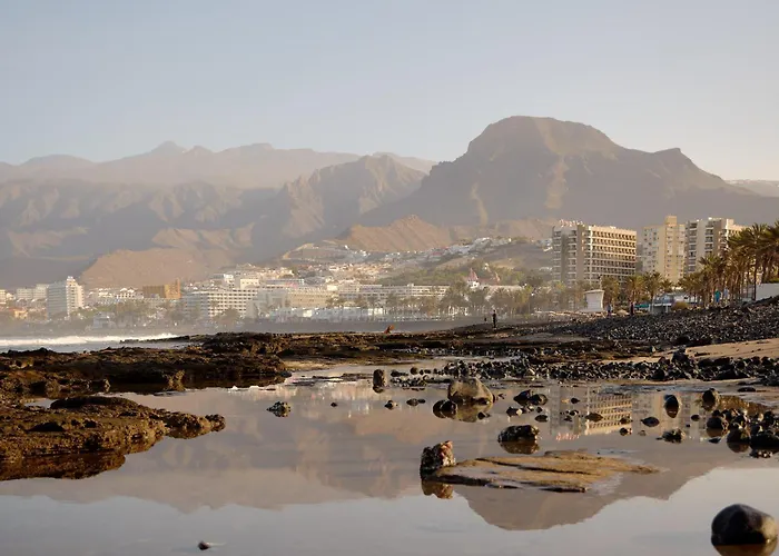 Hotel Sol By Melia Tenerife Playa de las Americas (Tenerife)